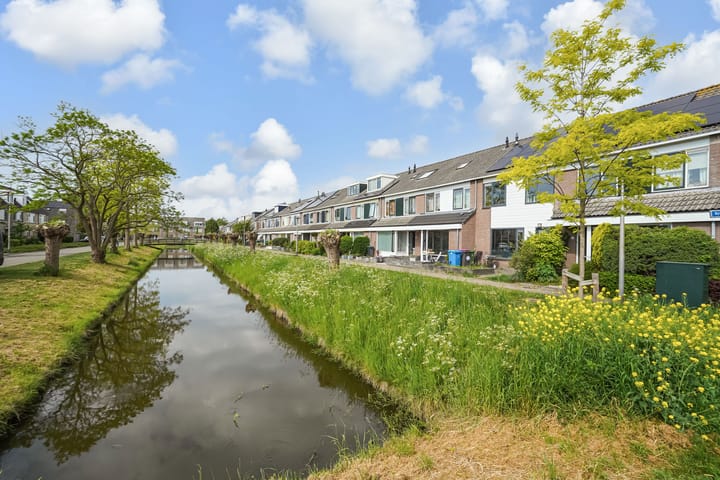 Foto 51 van Kroosvaren 41