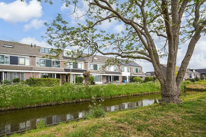 Foto 54 van Kroosvaren 41