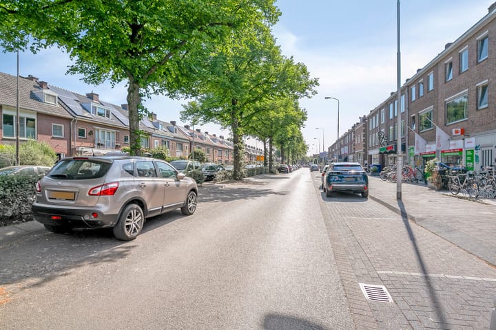 Foto 38 van St Theresiastraat 8