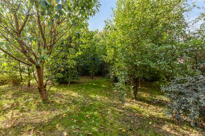 Foto 46 van Kokswijk 3