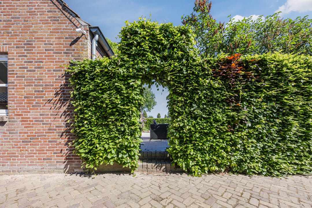 Foto 47 van Groenewoud 8