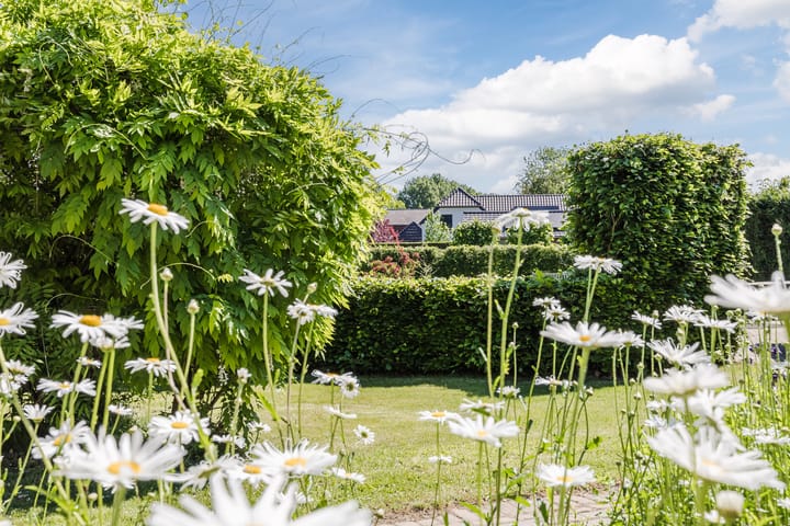 Photo 59 of Groenewoud 8