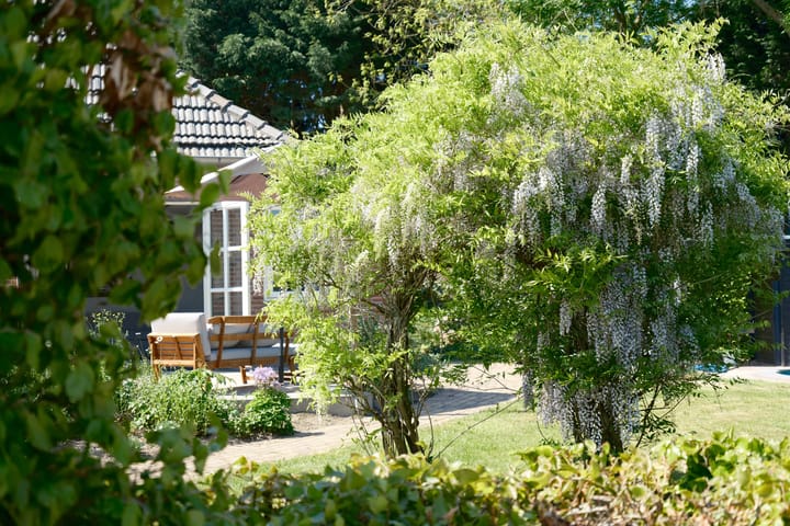 Photo 61 of Groenewoud 8