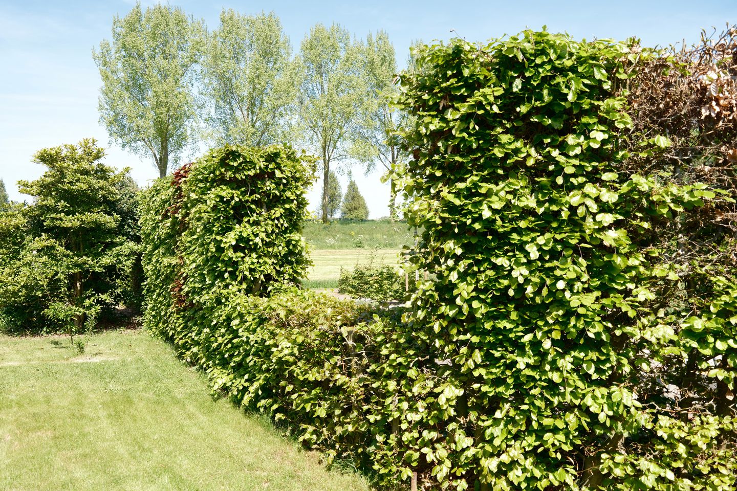 Foto 64 van Groenewoud 8