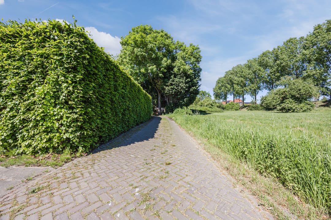 Foto 71 van Groenewoud 8