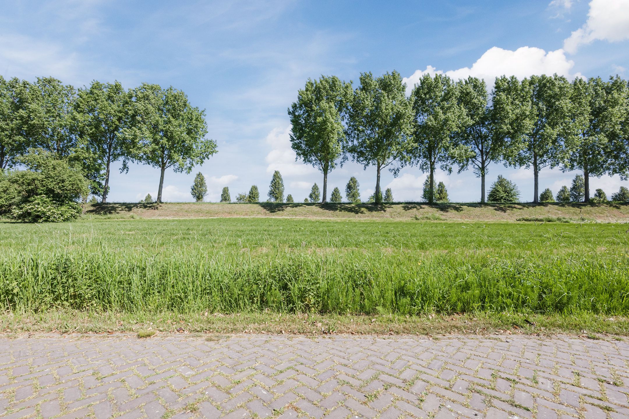 Foto 72 van Groenewoud 8