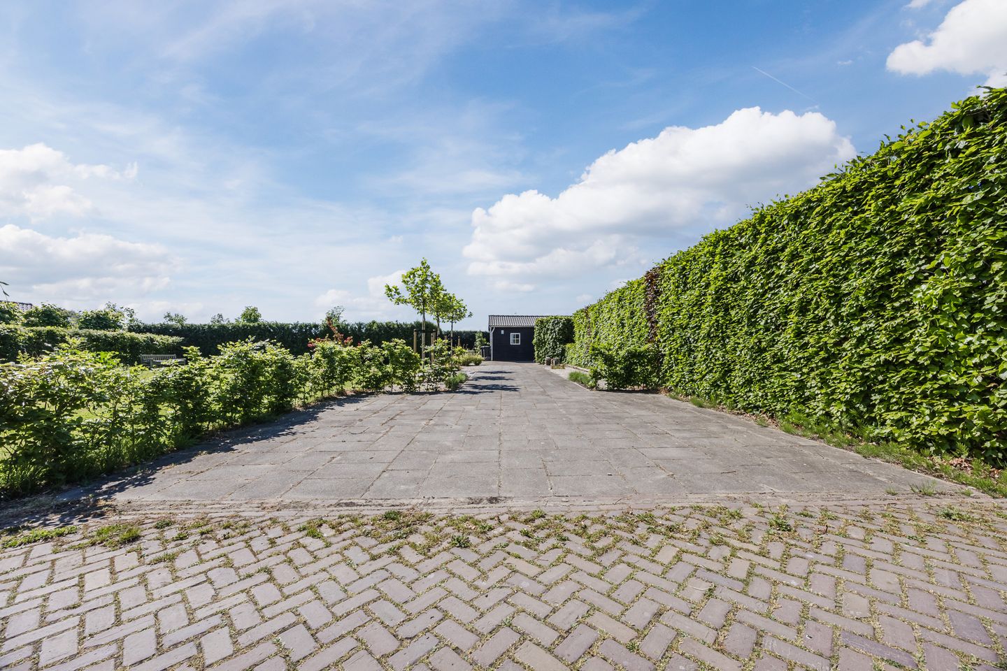 Foto 74 van Groenewoud 8