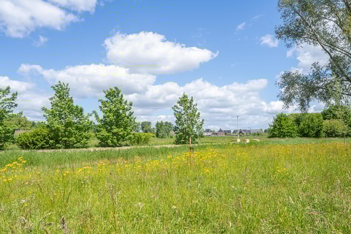 Foto 6 van Gargouille 43