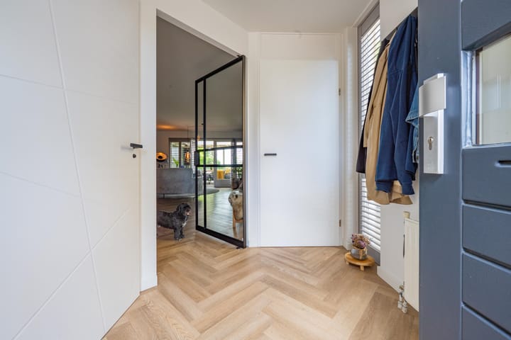 Foto 9 van Gargouille 43