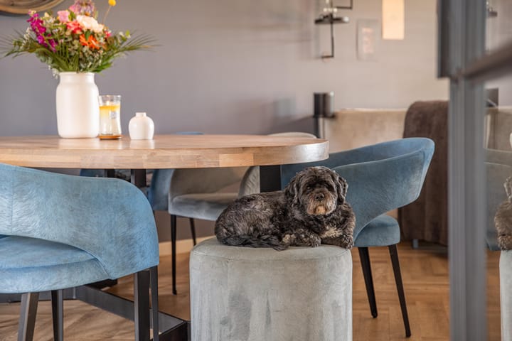 Foto 24 van Gargouille 43