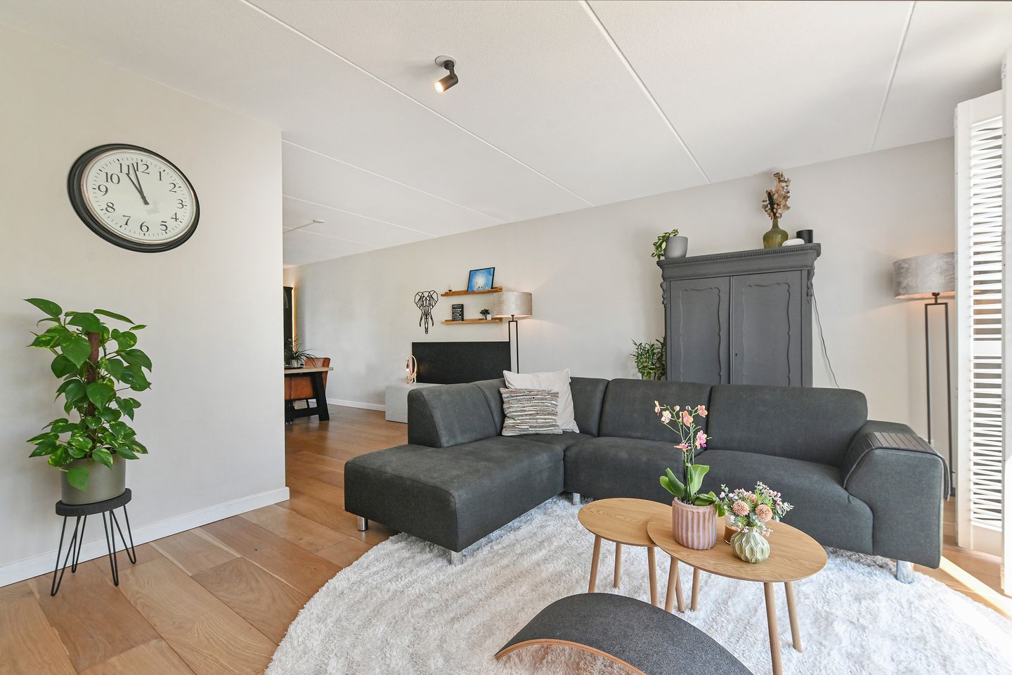 Foto 14 van De Druiventrap 17