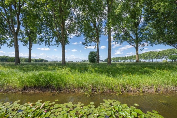 Foto 51 van Gargouille 43