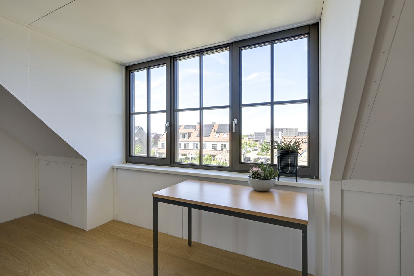 Foto 49 van Hortensiaerf 13