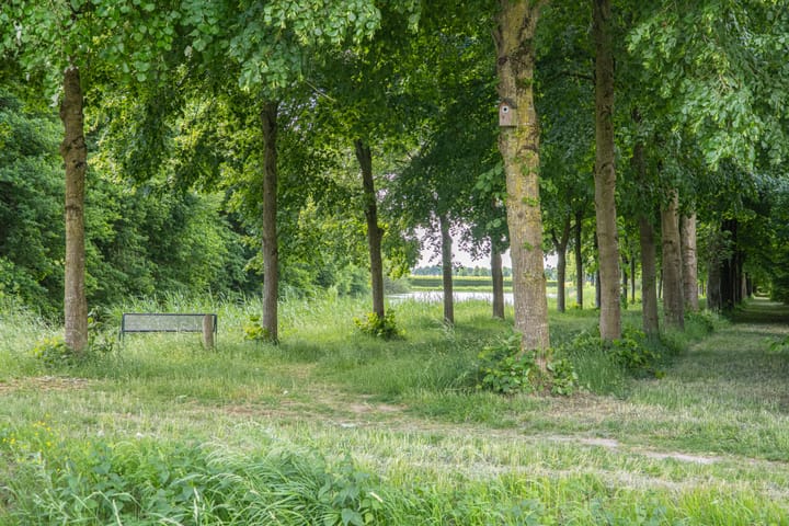 Foto 76 van Gargouille 43