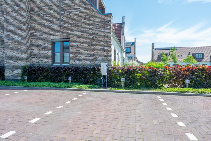 Foto 66 van Hortensiaerf 13