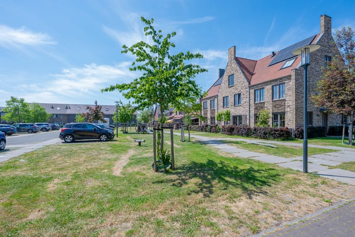 Foto 69 van Hortensiaerf 13