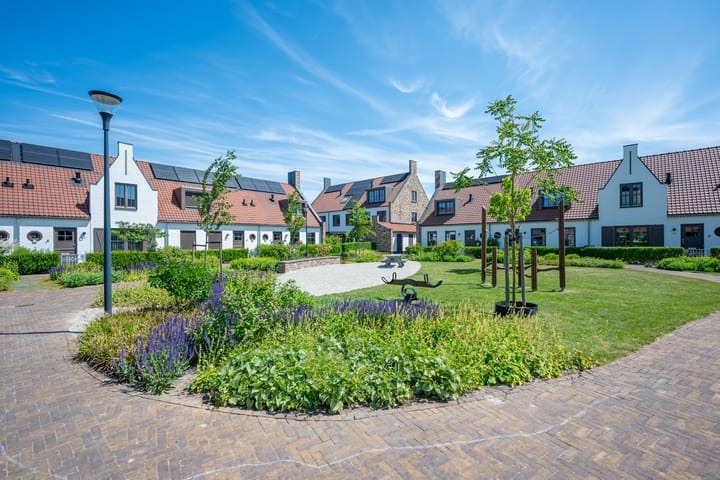 Foto 76 van Hortensiaerf 13