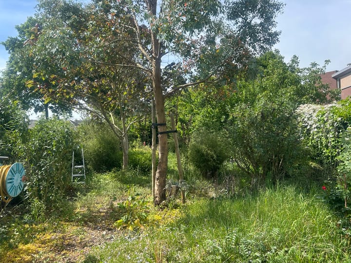 Foto 11 van De Lingst 61