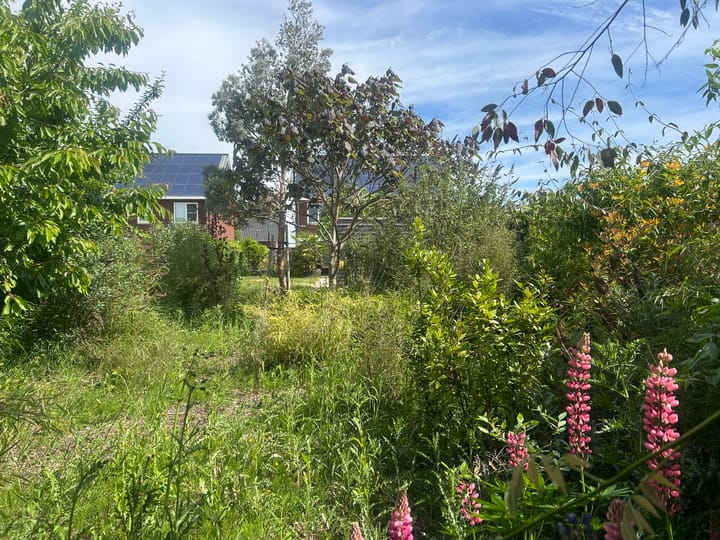 Foto 12 van De Lingst 61