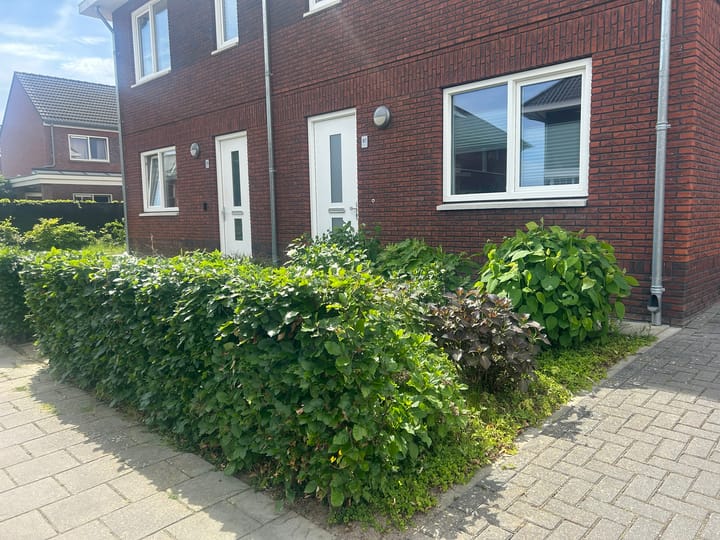 Foto 16 van De Lingst 61