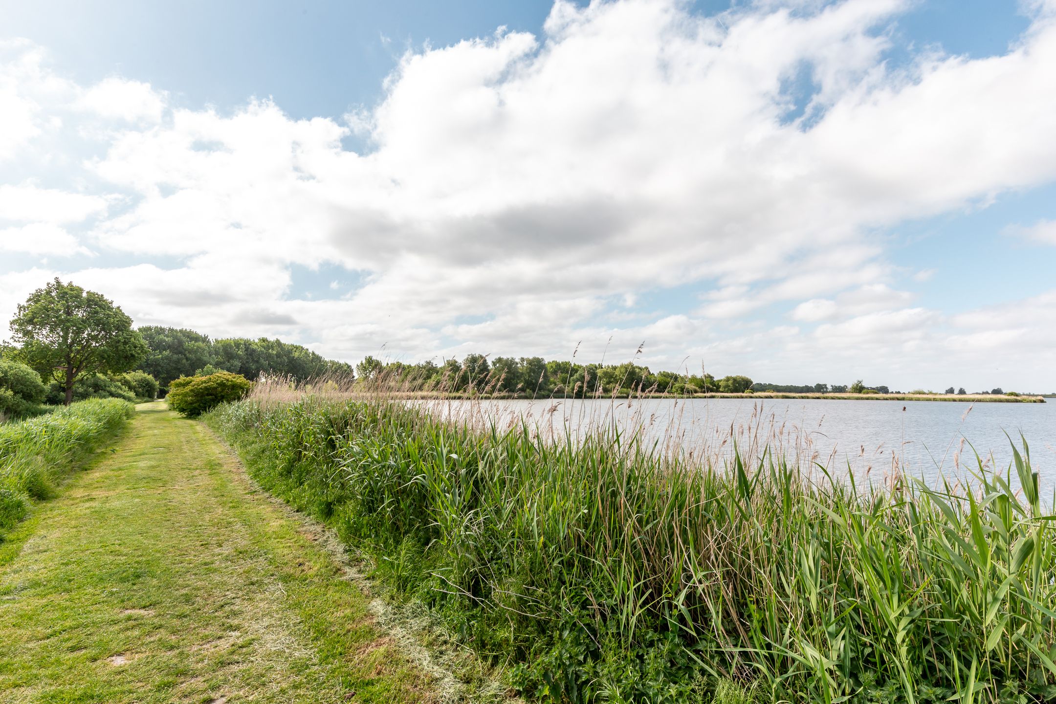 Foto 30 van Schermer 115