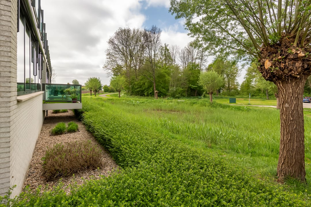 Foto 22 van Burgemeester Hommesstraat 18