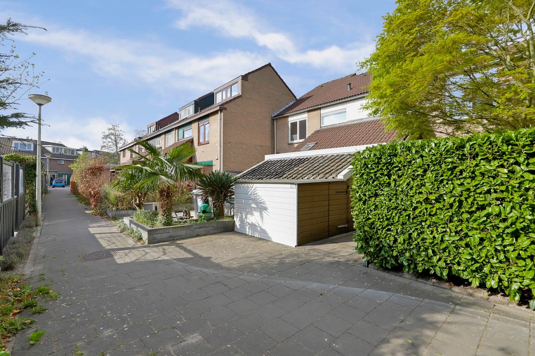 Foto 2 van Matsmanzoom 37