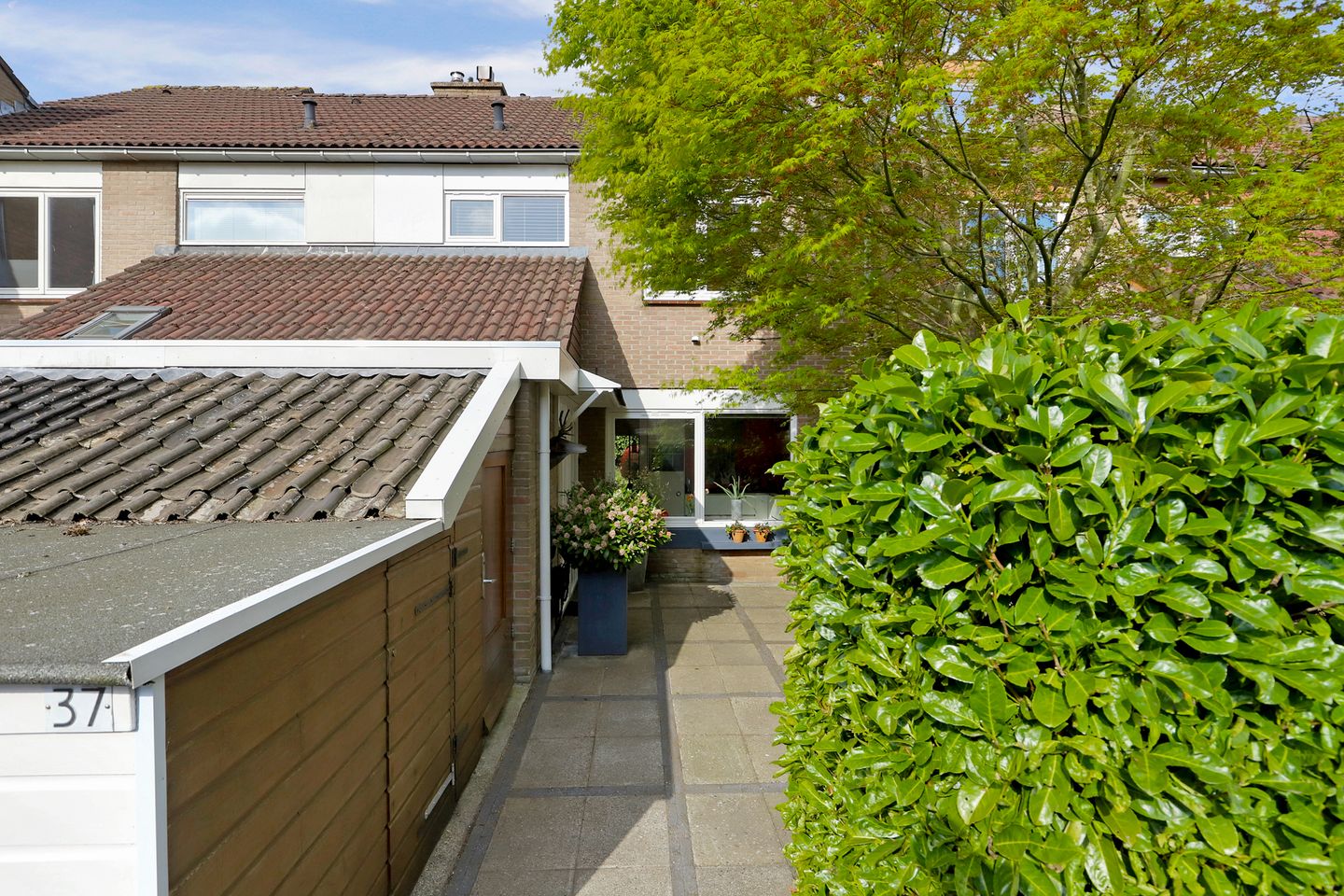 Foto 4 van Matsmanzoom 37