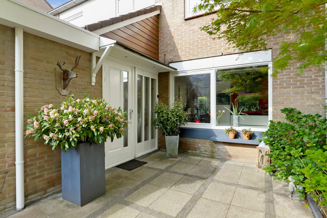 Foto 7 van Matsmanzoom 37