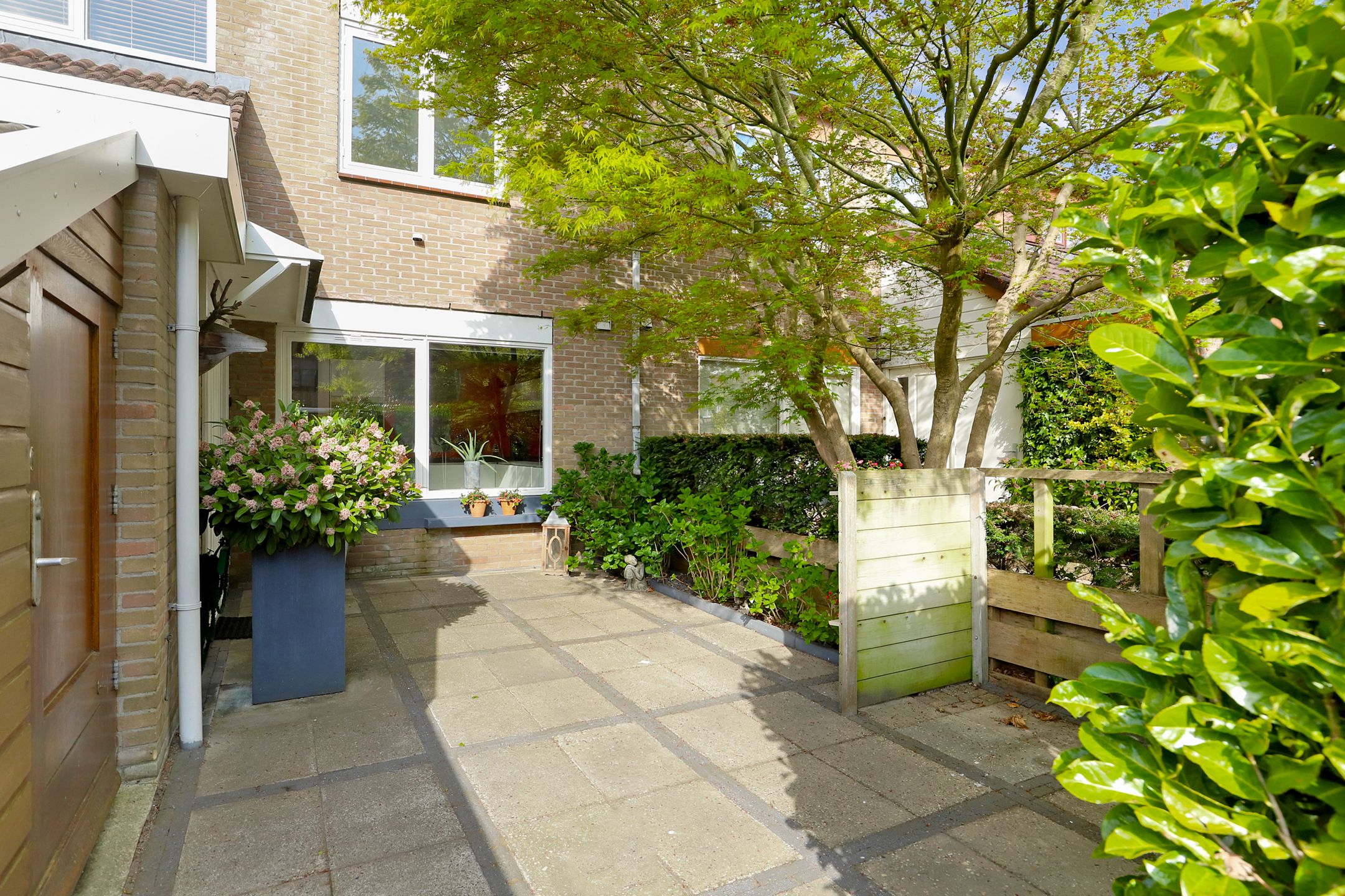 Foto 6 van Matsmanzoom 37