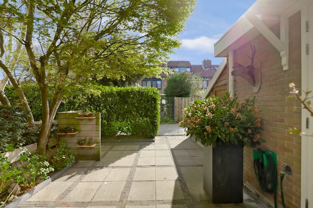 Foto 8 van Matsmanzoom 37