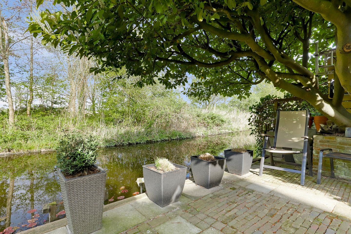 Foto 55 van Matsmanzoom 37