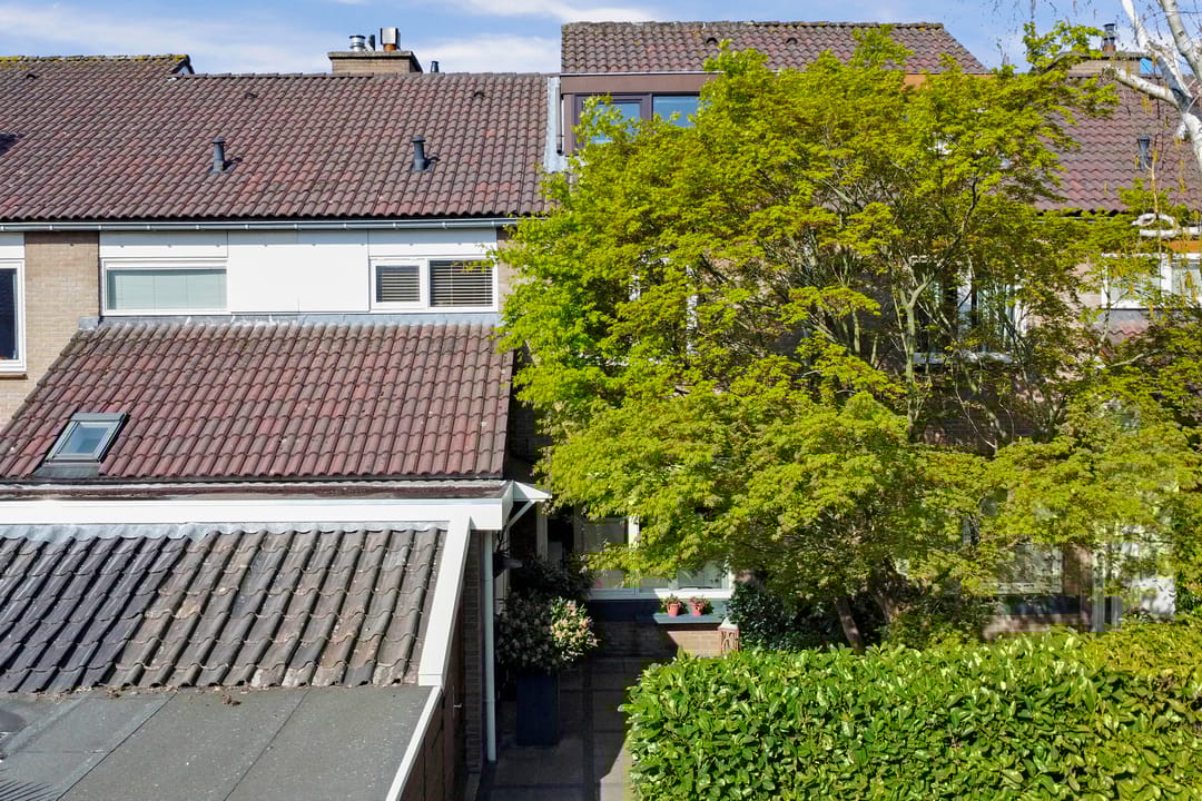 Foto 62 van Matsmanzoom 37