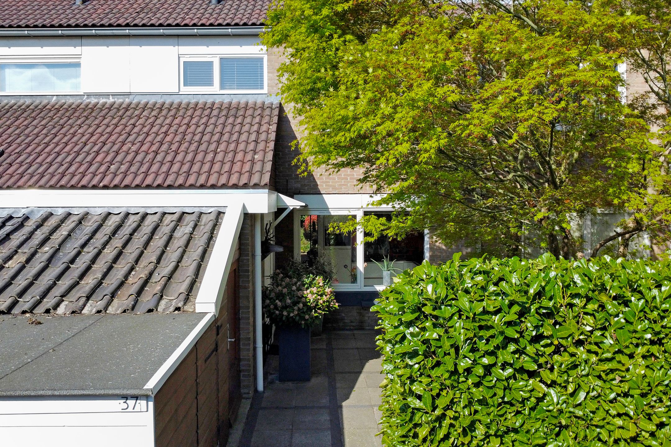 Foto 63 van Matsmanzoom 37