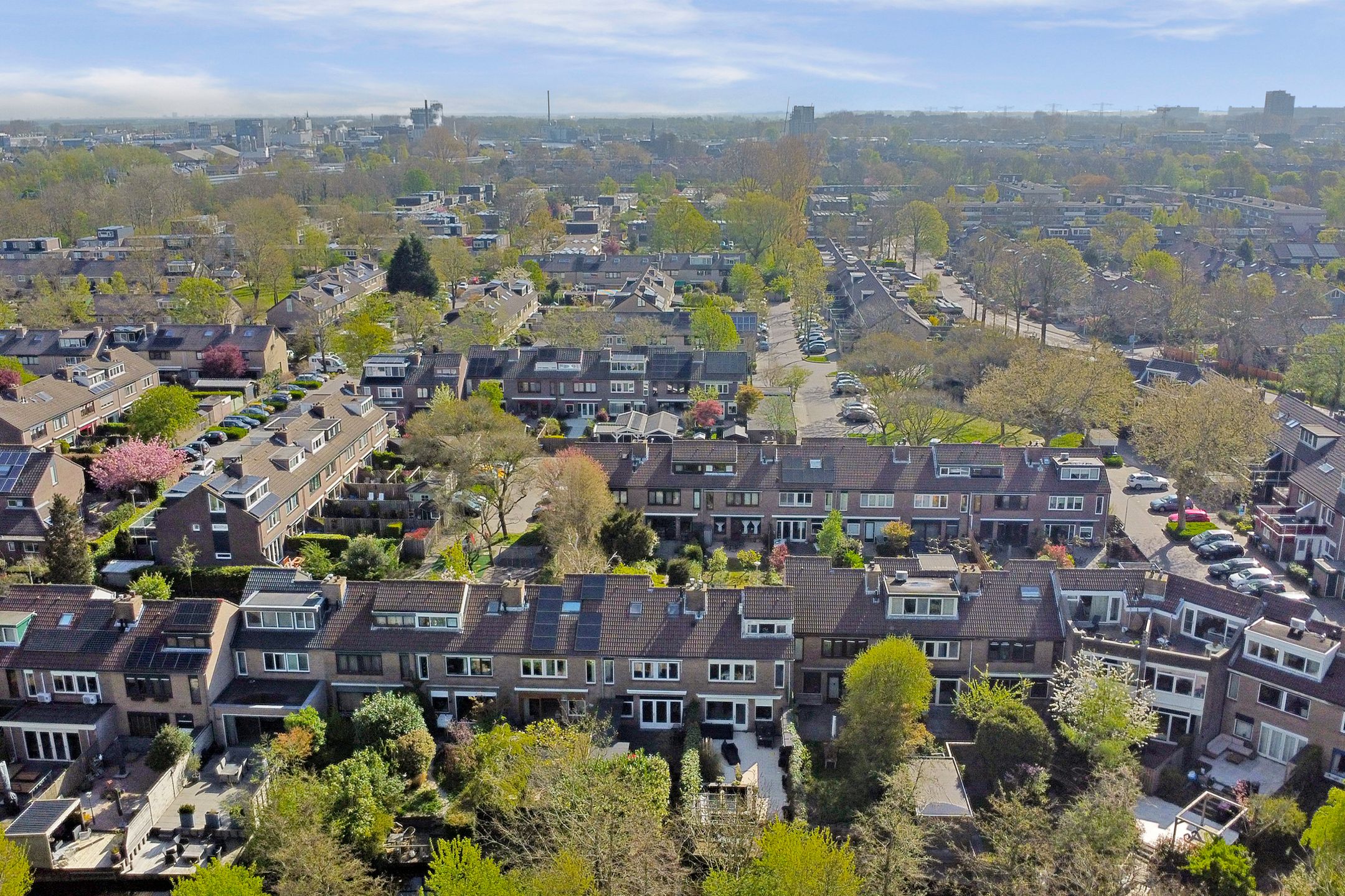 Foto 66 van Matsmanzoom 37