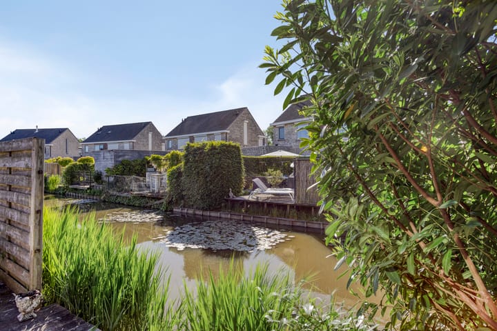 Foto 2 van Robijnboog 42