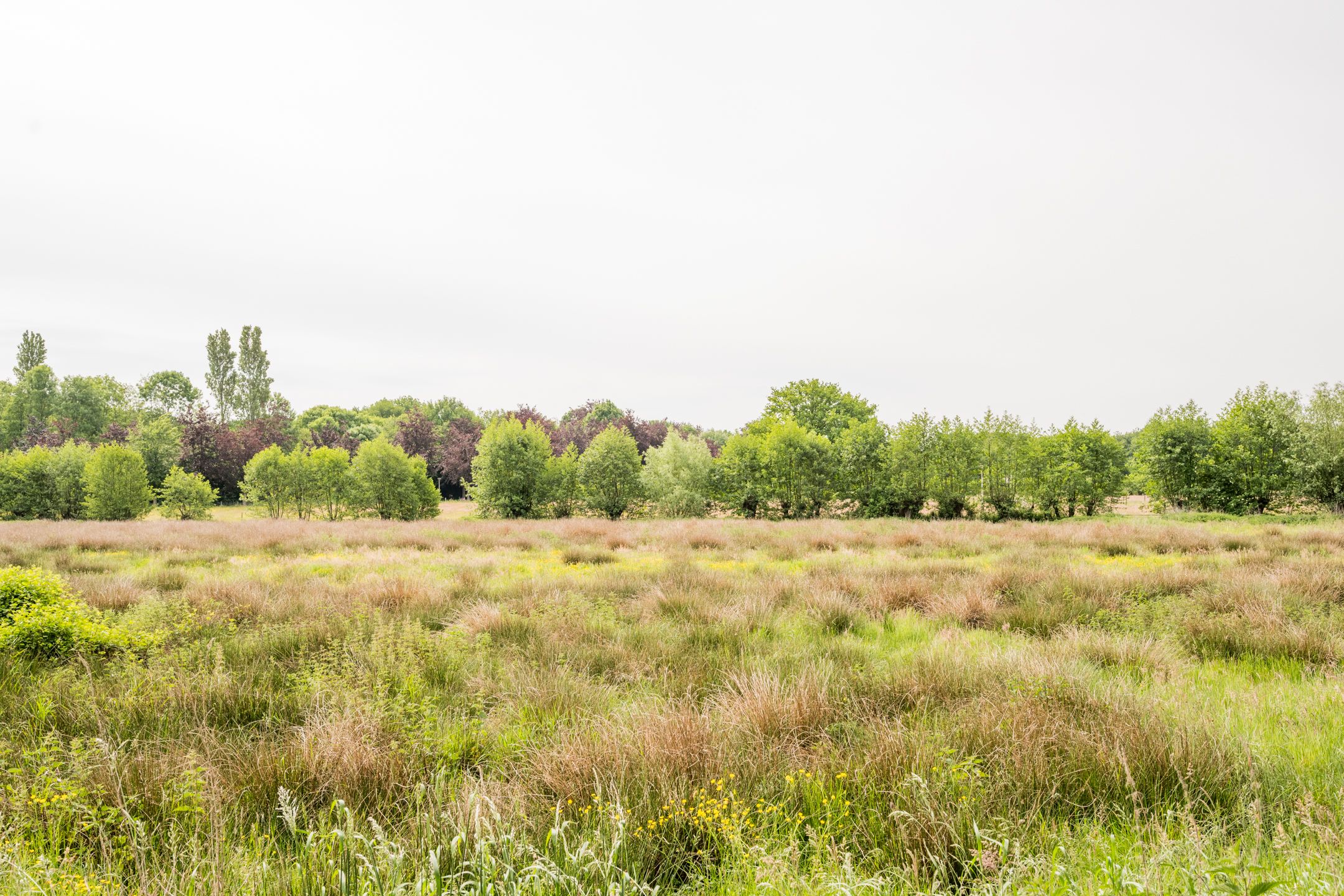 Foto 39 van Tingieterstraat 13