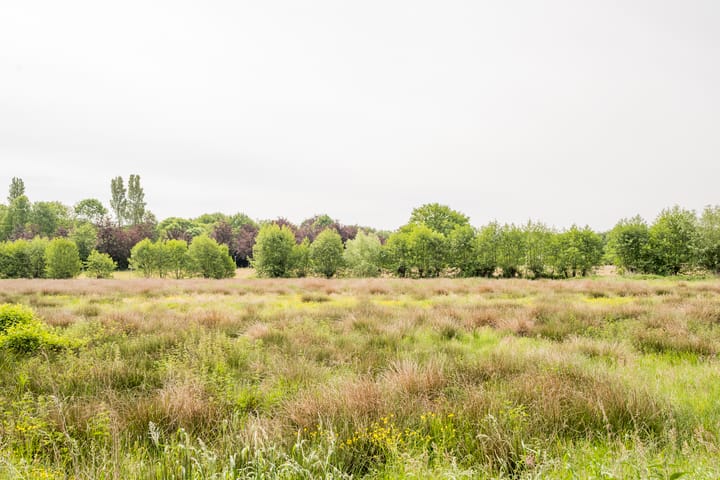 Foto 39 van Tingieterstraat 13