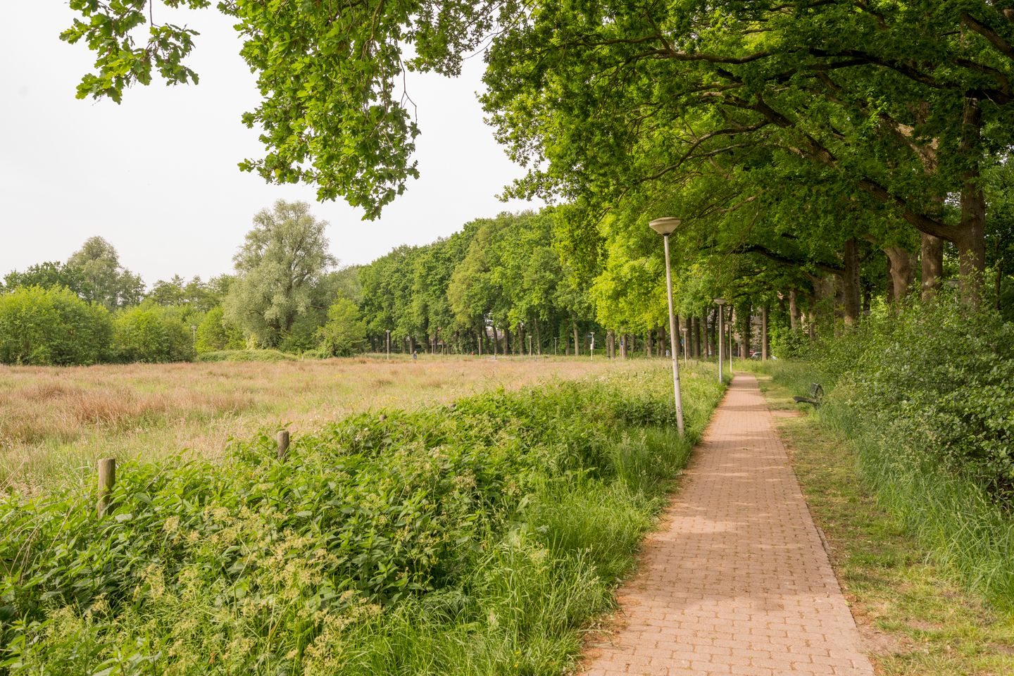 Foto 40 van Tingieterstraat 13