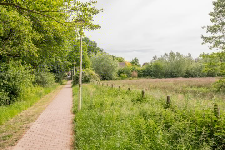 Foto 41 van Tingieterstraat 13