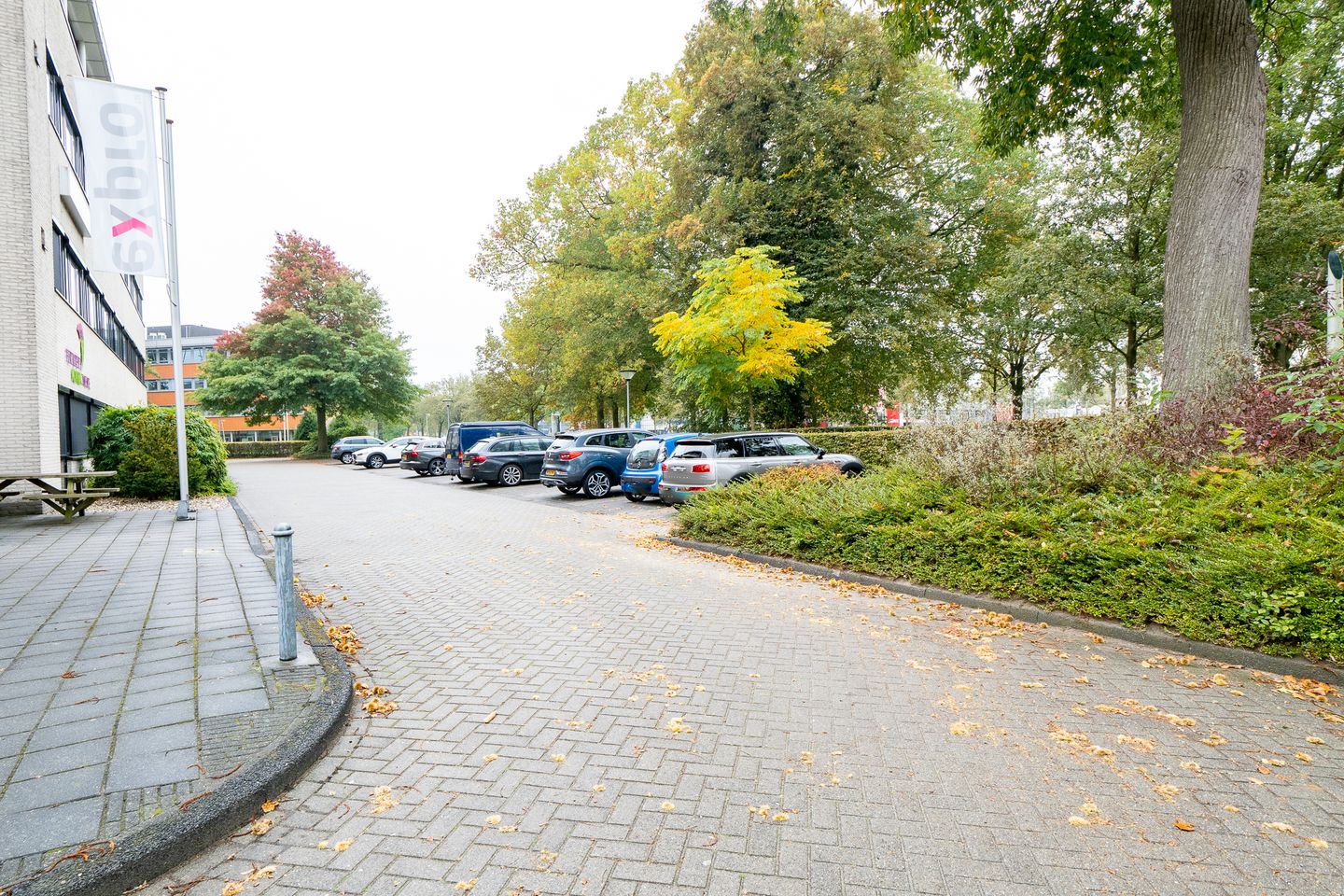 Bekijk foto 3 van Demmersweg 66