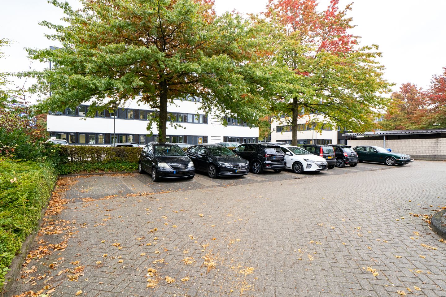 Bekijk foto 4 van Demmersweg 66
