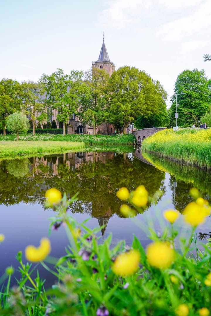 Foto 43 van Hoogstraat 6-A