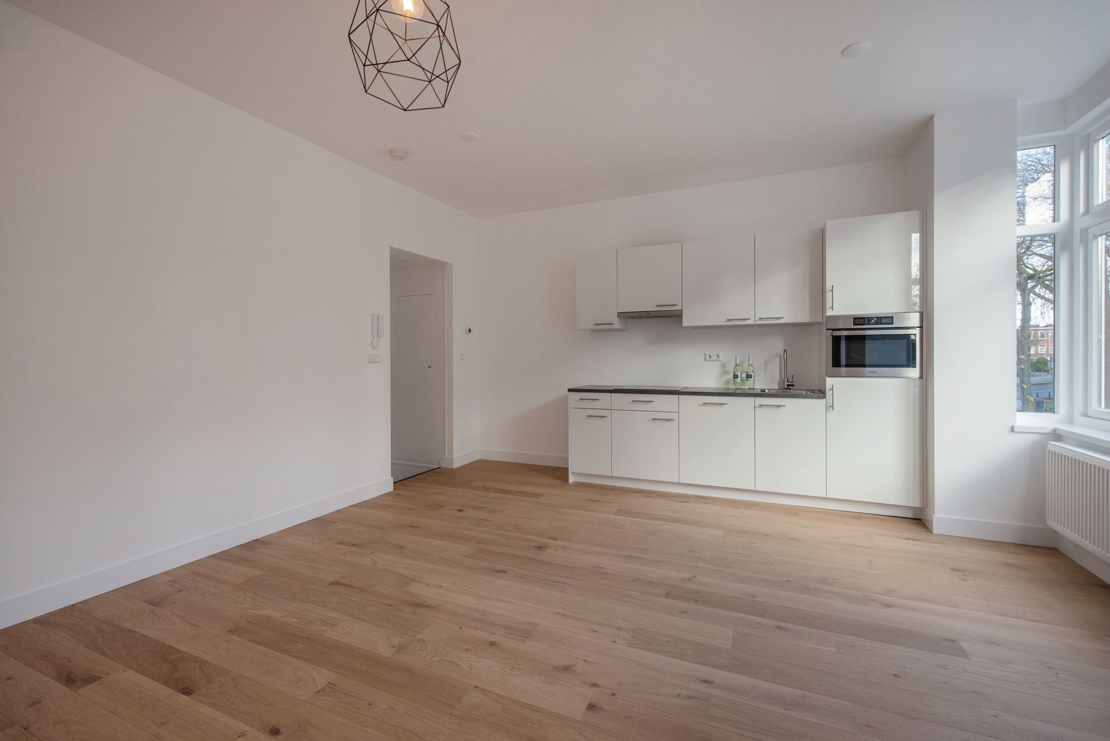 Foto 18 van Linnaeusstraat 1