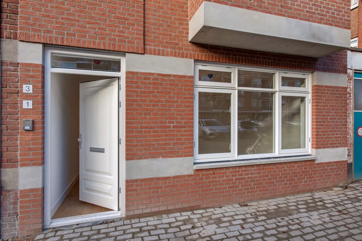 Foto 19 van Linnaeusstraat 1