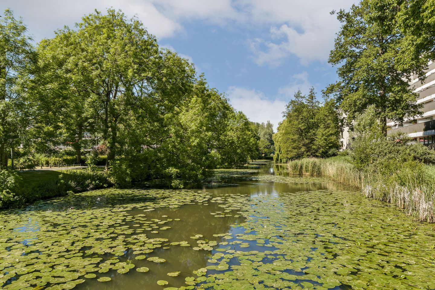 Foto 19 van De Klencke 105-A