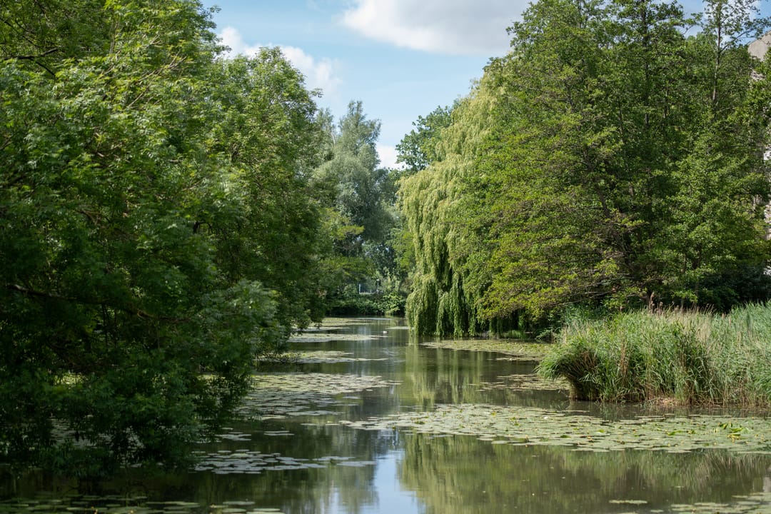 Foto 22 van De Klencke 105-A