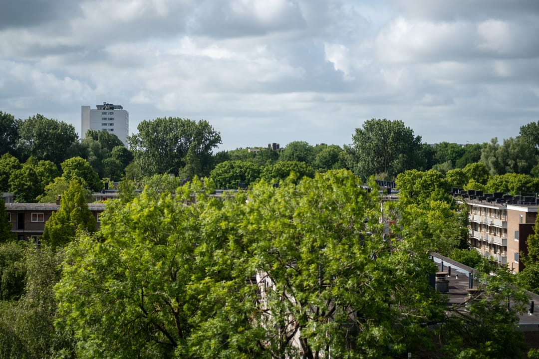 Foto 23 van De Klencke 105-A