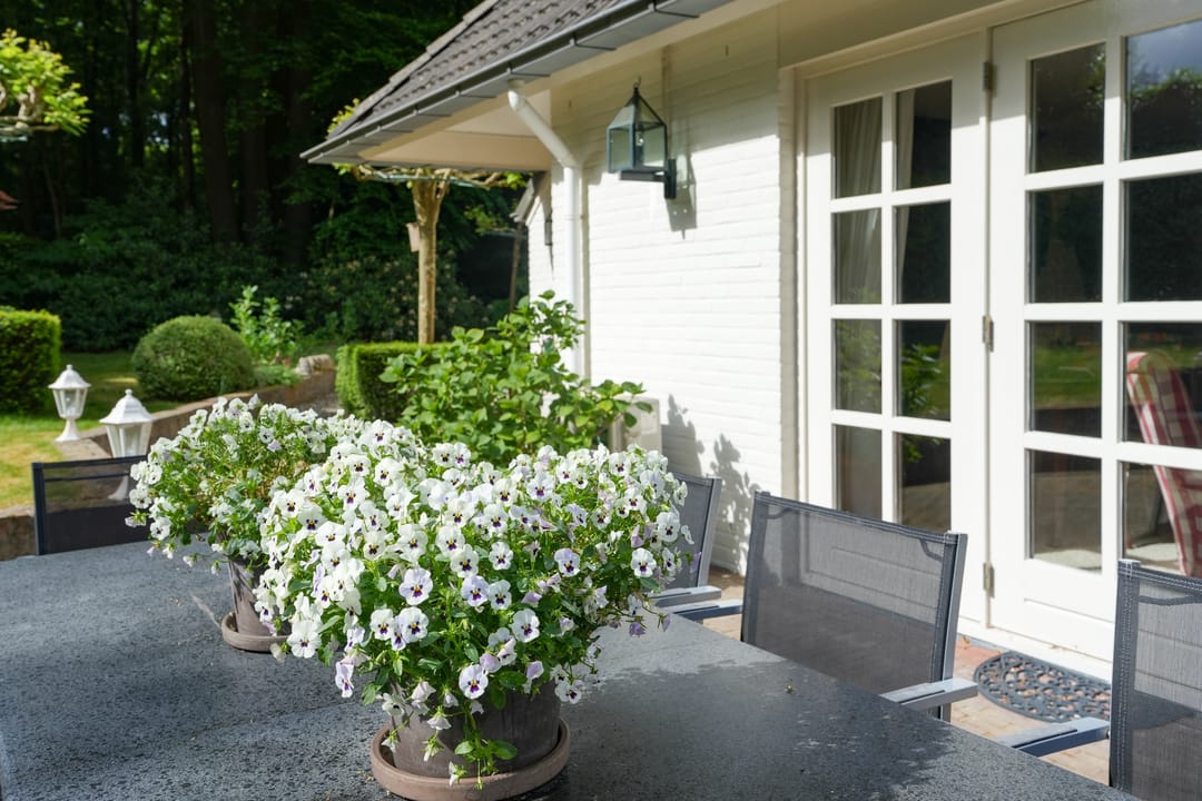 Foto 61 van Mariënboomseweg 5