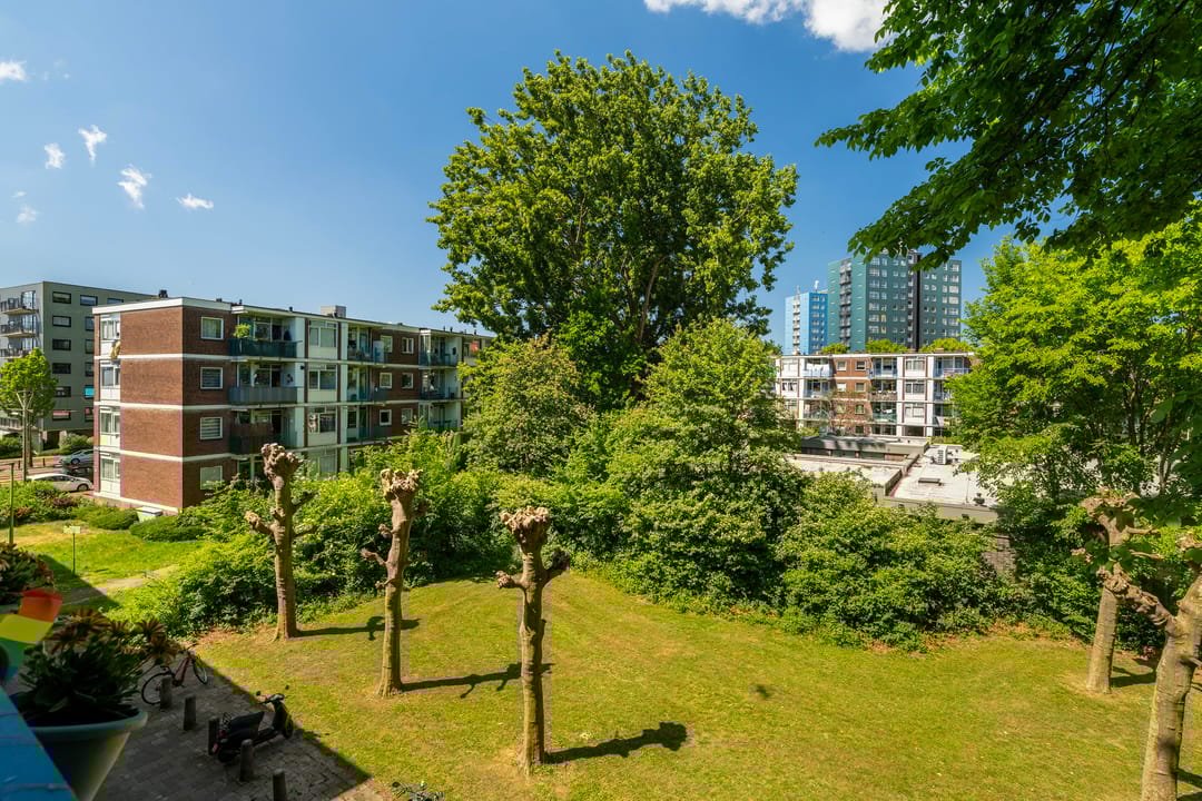 Foto 26 van 2e Eeldepad 51